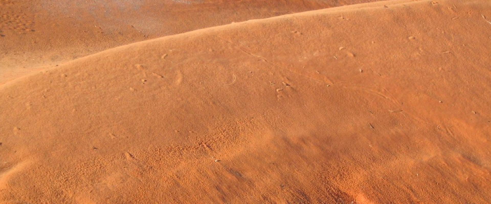 Coral-pink sand dunes