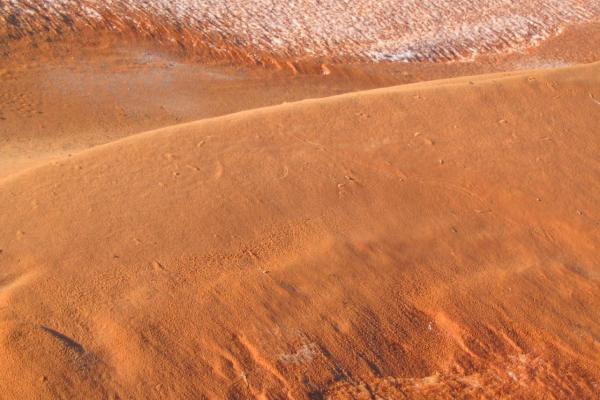 Coral Pink Sand Dunes State Park