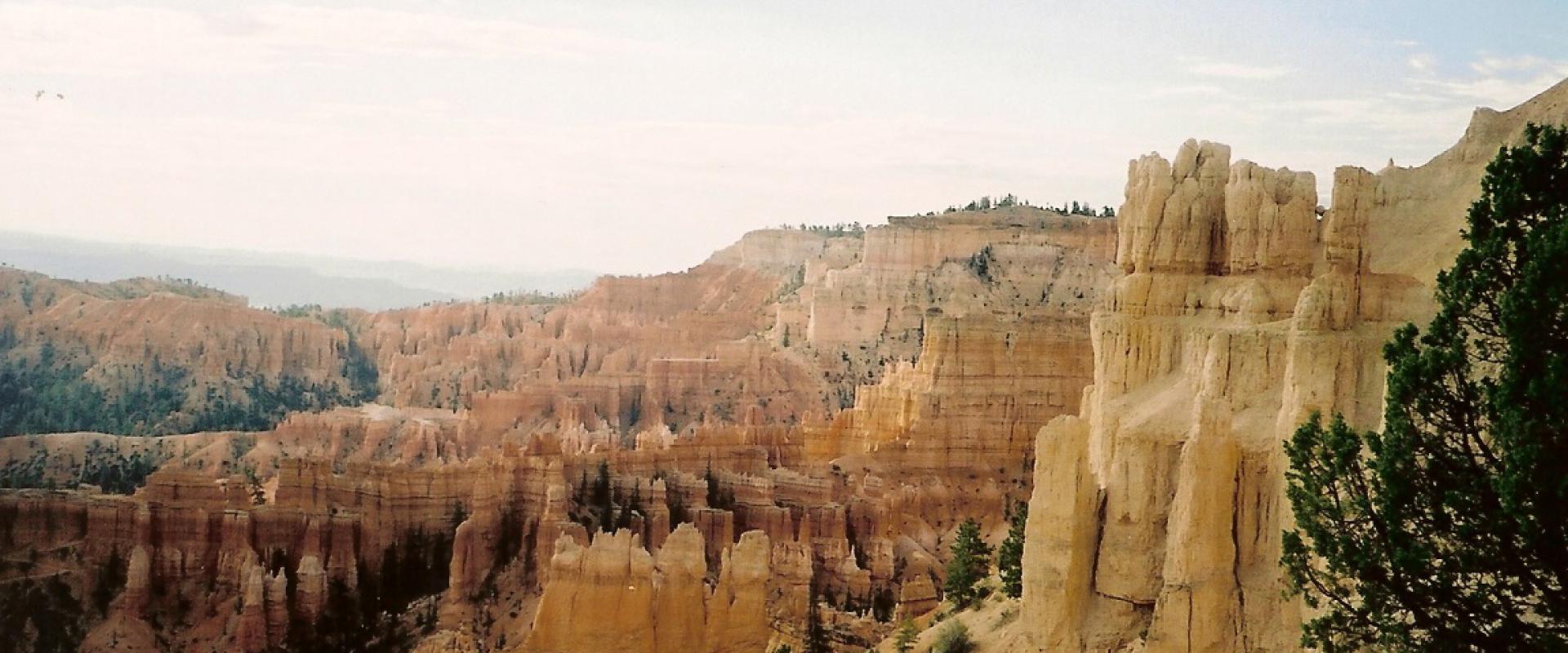 The image displays a high-angle view of a deep canyon landscape featuring prominent, light-colored, spire-like rock formations (hoodoos) and steep cliffs, with green coniferous trees scattered on the ledges and slopes.