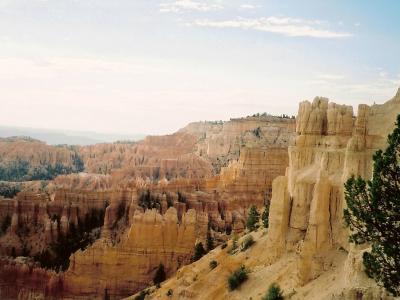 The image displays a high-angle view of a deep canyon landscape featuring prominent, light-colored, spire-like rock formations (hoodoos) and steep cliffs, with green coniferous trees scattered on the ledges and slopes.