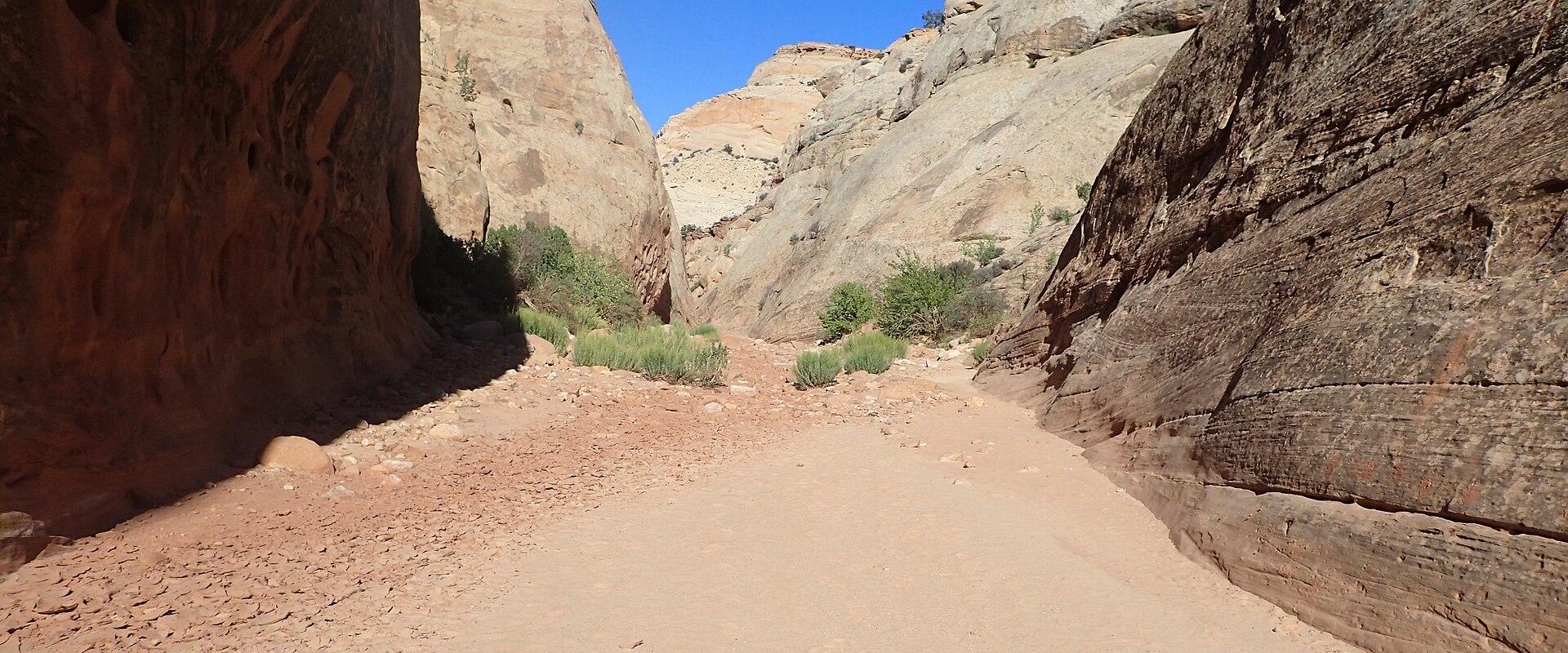 A view looking up a narrow, sandy wash (canyon) with steep, light-colored sandstone walls on either side, under a clear blue sky.