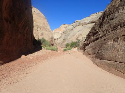 A view looking up a narrow, sandy wash (canyon) with steep, light-colored sandstone walls on either side, under a clear blue sky.