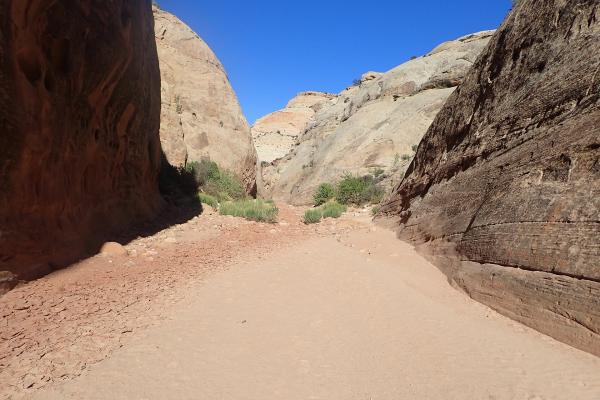 Capitol Gorge