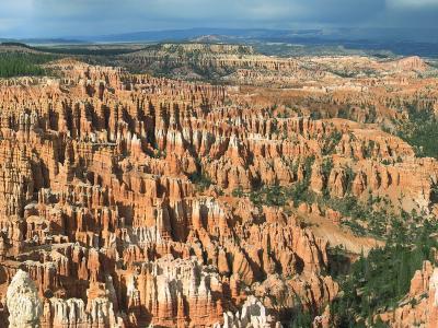 A panoramic landscape photograph showing a vast, deep canyon filled with dense, reddish-orange hoodoo rock formations, with green coniferous trees visible on the rim and in the crevices, set against a cloudy sky.