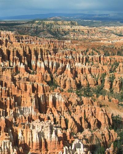 A panoramic landscape photograph showing a vast, deep canyon filled with dense, reddish-orange hoodoo rock formations, with green coniferous trees visible on the rim and in the crevices, set against a cloudy sky.