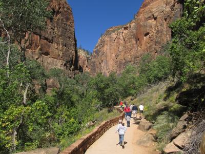 A group of people walking along a paved, multi-level trail with low stone walls, flanked by green trees and vegetation, set against a backdrop of tall, reddish-brown sandstone cliffs.