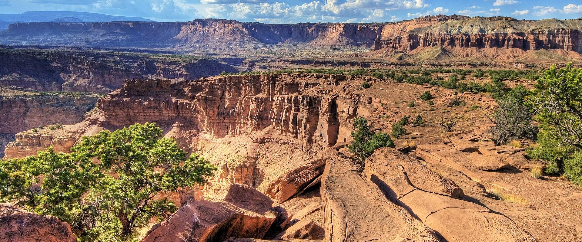 Red sandstone cliffs and juniper on the Waterpocket Fold in Capitol Reef National Park
