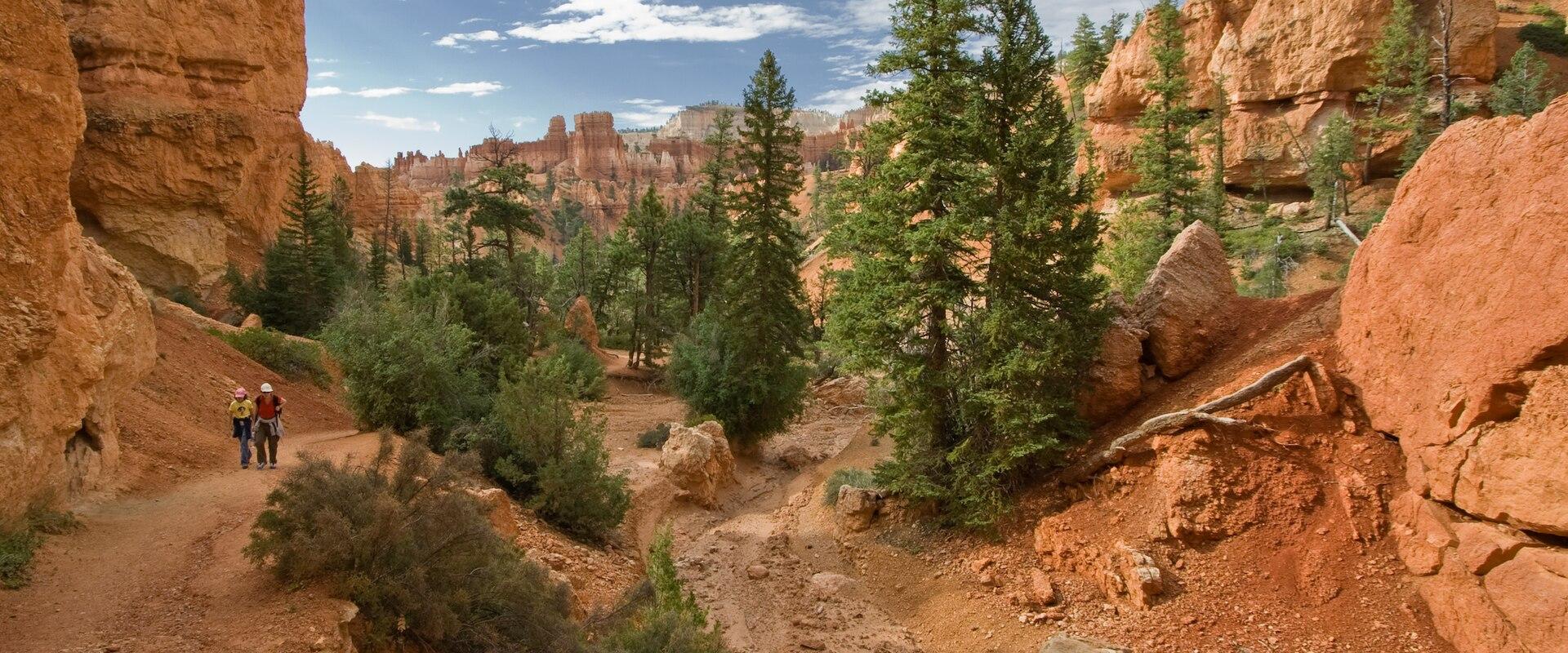 The image shows a dirt trail winding through a canyon with reddish-orange rock walls and green coniferous trees, with two hikers walking on the path.