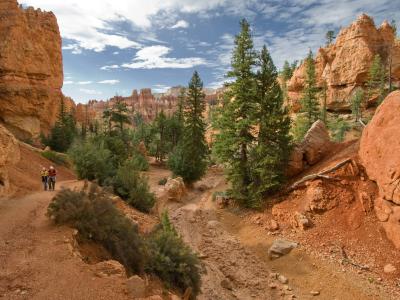 The image shows a dirt trail winding through a canyon with reddish-orange rock walls and green coniferous trees, with two hikers walking on the path.