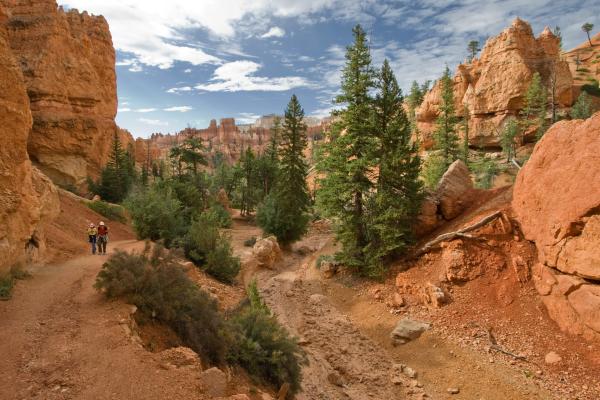 Navajo Loop Trail