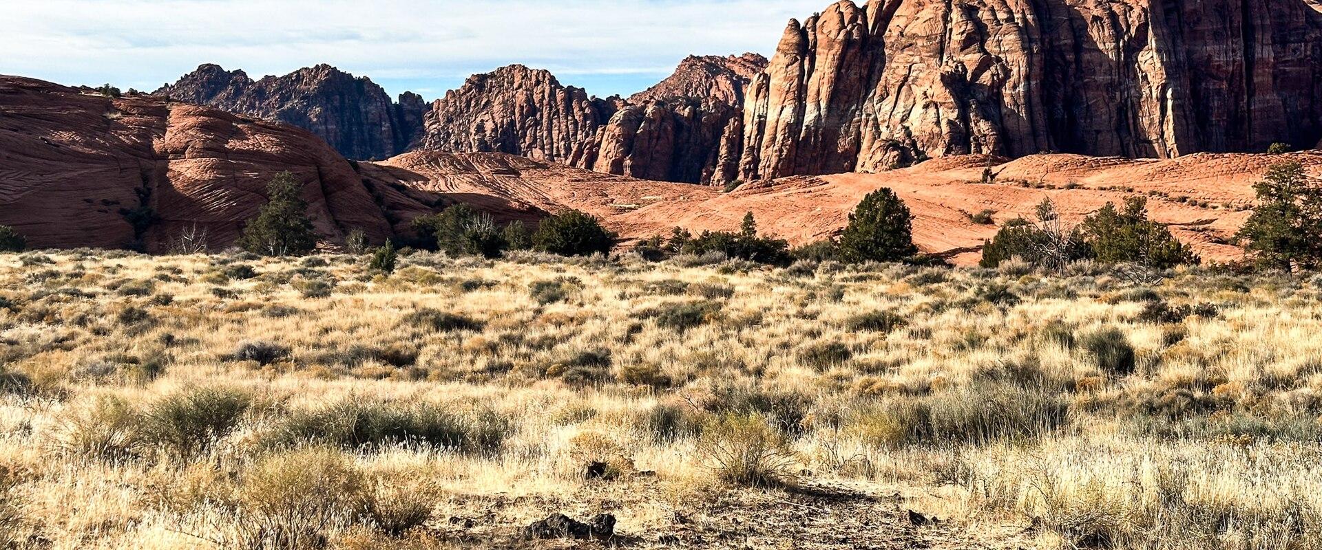 Red and white sandstone of Snow Canyon