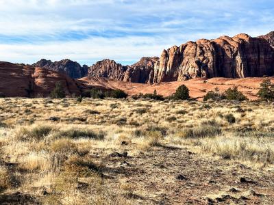 Red and white sandstone of Snow Canyon