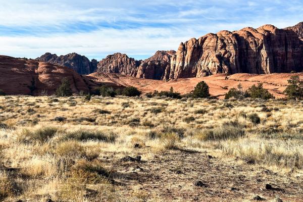 Snow Canyon State Park